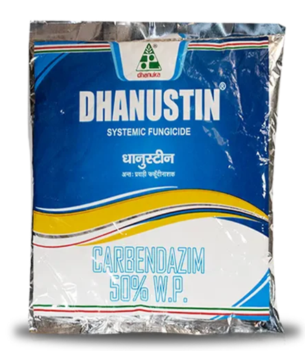 Dhanustin Fungicide – Carbendazim 50% WP Broad-Spectrum Disease Control