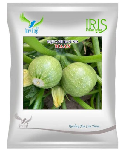 Iris Imported OP SQUASH ROUND MAAN