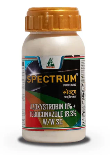 स्पेक्ट्रम फफूंदनाशी (एज़ॉक्सीस्ट्रोबिन 11% + टेबुकोनाज़ोल 18.3% w/w SC) व्यापक रोग नियंत्रण के लिए