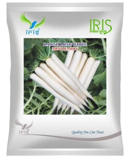 Iris Imported OP RADISH LONG WHITE MINO EARLY