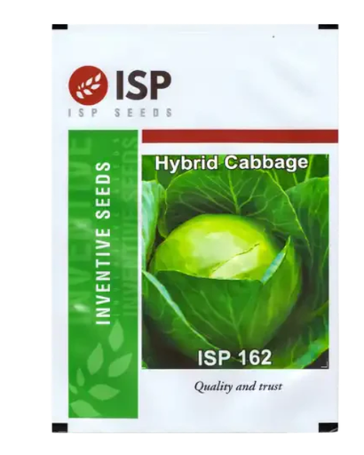 ISP162 CABBAGE