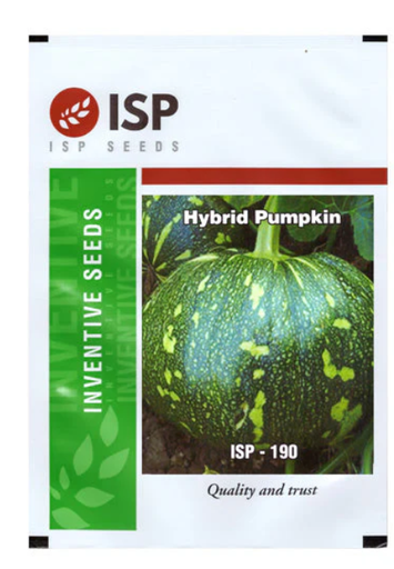 ISP190 గుమ్మడికాయ - గ్రీన్ స్కిన్