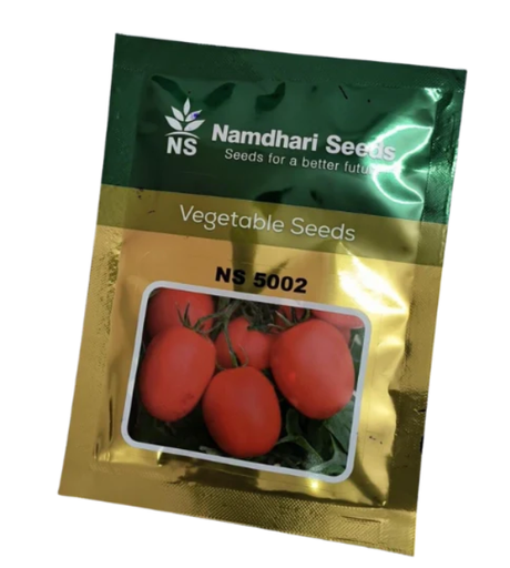 NS 5002 (1068) TOMATO SEEDS