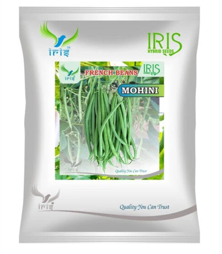 Iris OP FRENCH BEANS Mohini