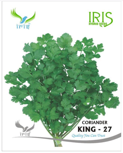 Iris Imported OP Coriander King 27 Split