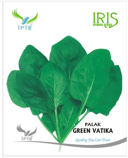 Iris OP Palak Green Vatika (All Green)