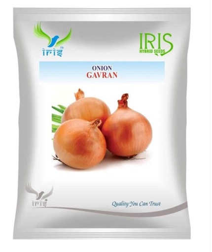Iris OP ONION GAVARAN