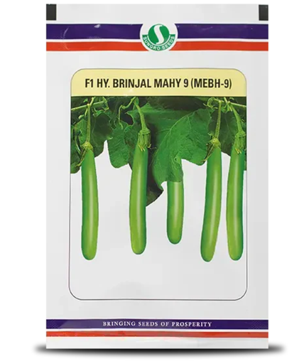 SUNGRO 9 MEBH-9 BRINJAL