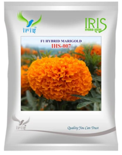 आइरिस हाइब्रिड F1 मैरीगोल्ड ऑरेंज IHS007