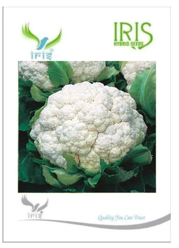 IRIS HYBRID VEGETABLE SEEDS CAULIFLOWER