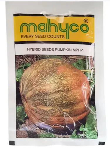 MPH-1 Pumpkin Seeds
