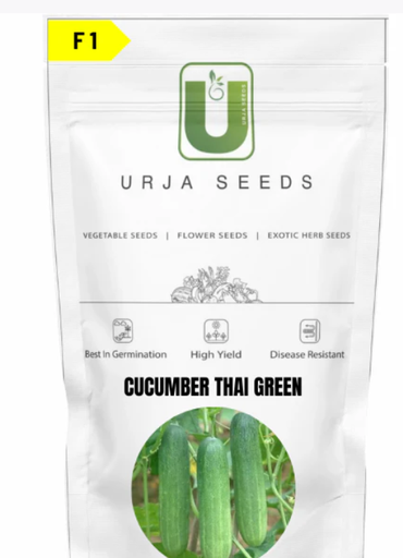 URJA CUCUMBER F1 THAI GREEN