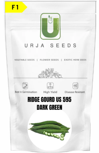 URJA RIDGE GOURD F1 US 595