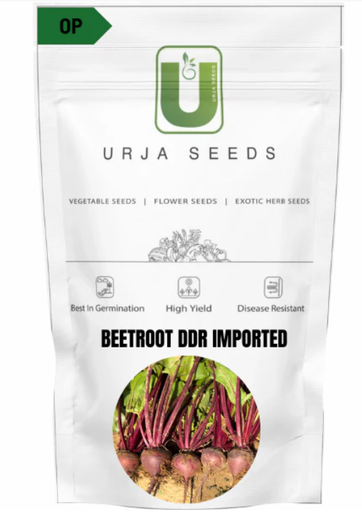 URJA BEETROOT DDR (IMPORTED)