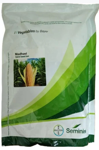 Madhavi Sweet corn