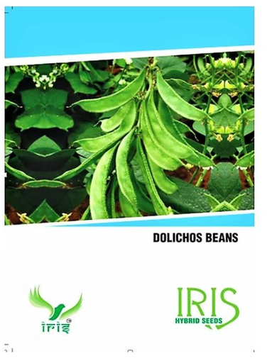 Iris Hybrid OP Dolichos Beans Seeds