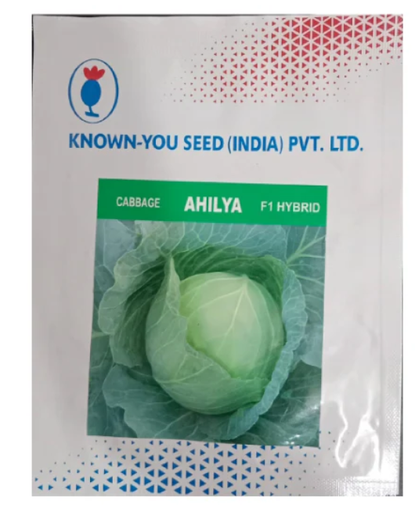 अहिल्या पत्ता गोभी