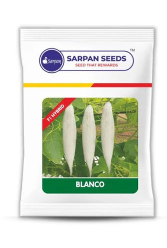SARPAN BLANCO short Snakegourd
