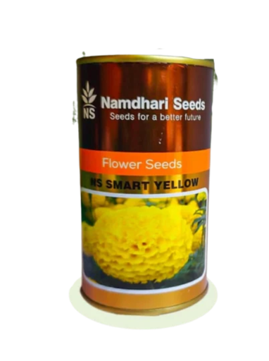 एफ1 संकर गेंदा एनएस 1501 (स्मार्ट पीला)