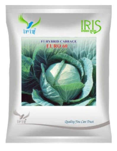 Iris Hybrid F1 Cabbage - Euro 60