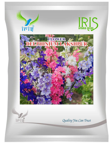 Iris Hybrid Imported OP DELPHINIUM LARKSPUR