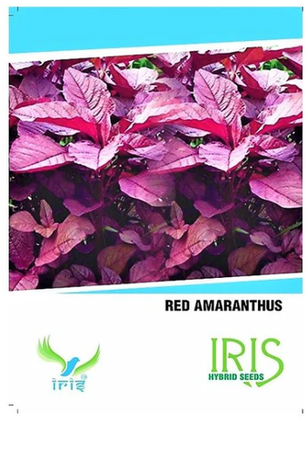 IRIS HYBRID OP AMARANTHUS RED VEGETABLE SEEDS