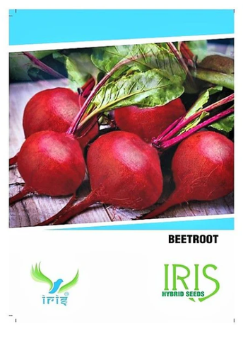 IRIS HYBRID OP VEGETABLE SEEDS BEETROOT