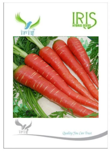 IRIS HYBRID CARROT SEEDS