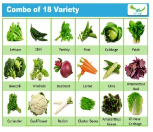 IRIS HYBRID PACK OF 18 VARIETY OF VEGETABLES, FRUITS AND HERBS SEEDS FOR KITCHEN GARDEN