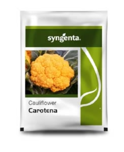 CAROTENA CAULIFLOWER (फूलगोभी)