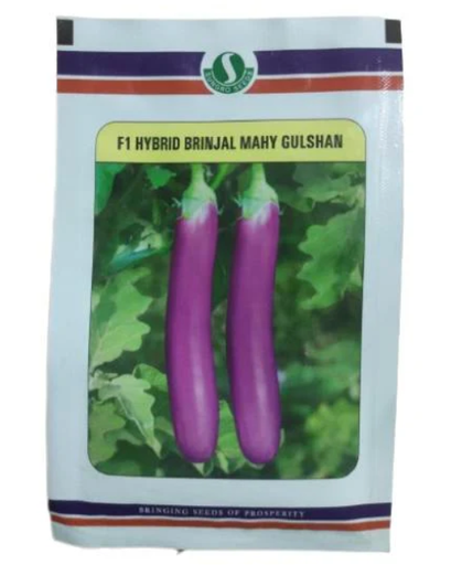 Mahy Gulshan Brinjal Seeds
