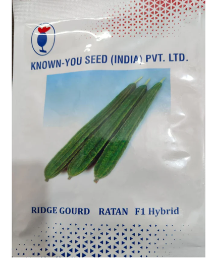 RATAN RIDGE GOURD