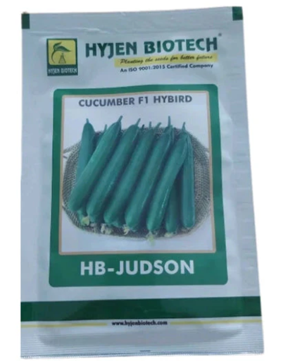 HB-JUDSON CUCUMBER F1