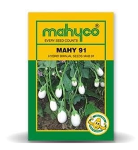 MHB-91 తెల్ల వంకాయ