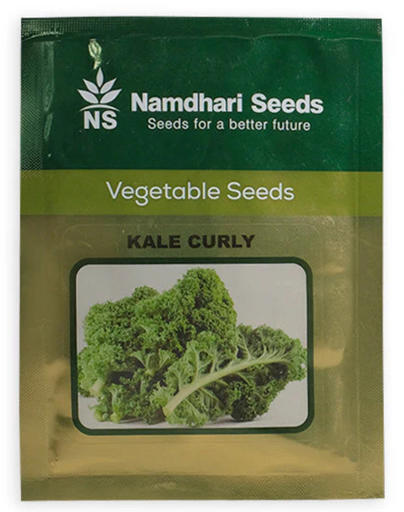 KALE CURLY F1 NS 10251 KGP