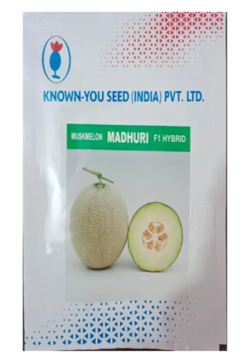 Madhuri Musk Melon Seeds