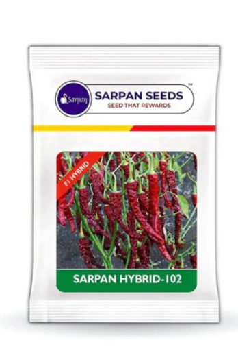 SARPAN - 102 BYADGI CHILLI