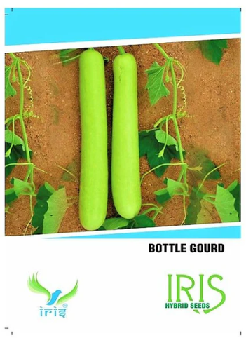 IRIS HYBRID VEGETABLE BOTTLE GOURD SEEDS
