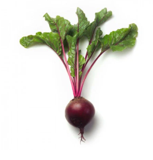 ZEPPO RZ F1 (13-30) BEETROOT