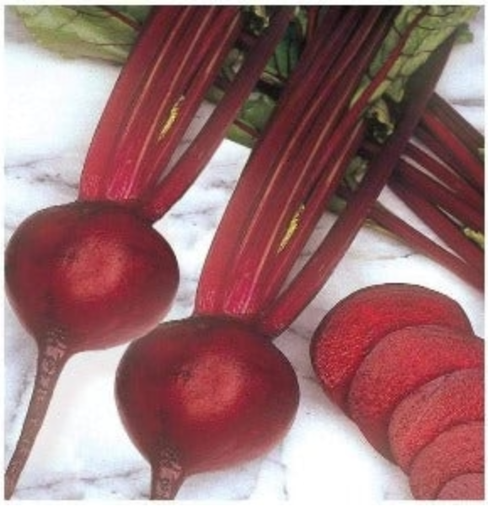 RUDDY BEETROOT