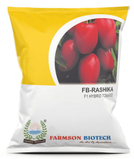 FB- RASHIKA F1HYBRID TOMATO SEEDS