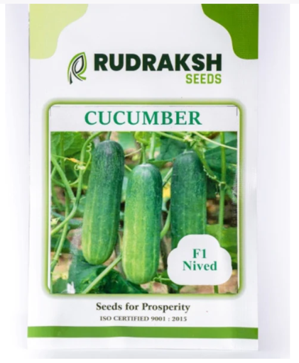 RUDRAKSH F1 NIVED CUCUMBER (GREEN, CYLINDRICAL) SEEDS