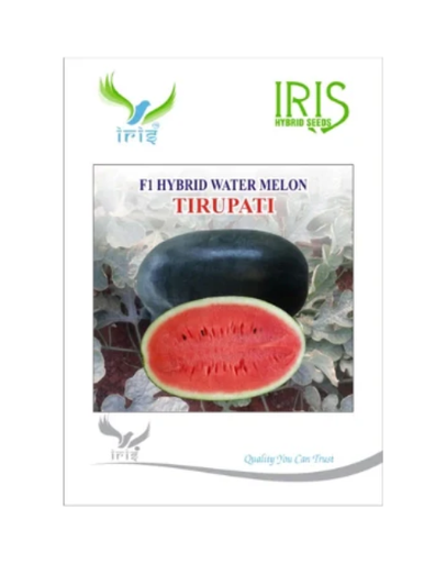 IRIS HYBRID F1 TIRUPATI WATERMELON ICE BOX SEGMENT
