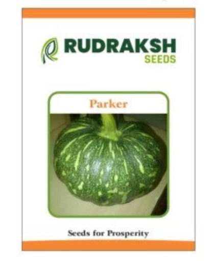 RUDRAKSH F1 PARKER PUMPKIN (MEDIUM,GREEN) SEEDS