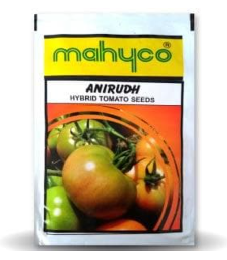 ANIRUDH TOMATO (अनिरुद्ध टमाटर)