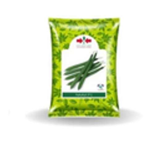 Naavi Ridge Gourd Seeds