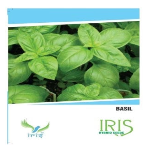 IRIS HYBRID HERB BASIL SEEDS