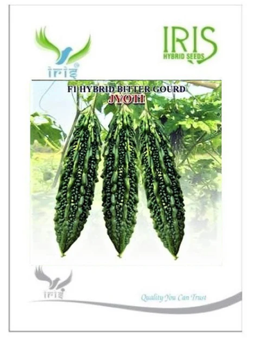 IRIS HYBRID JYOTI BITTER GOURD SEEDS