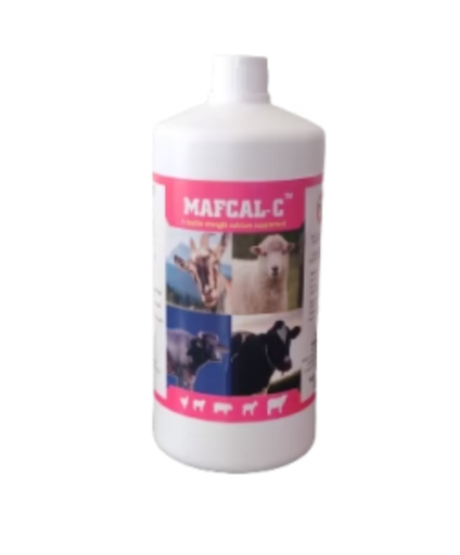 MAF CAL C (CAL FORTE C) (ORAL STRONG CALCIUM, PHOSPHOROUS, VITAMIN D, VITAMIN B & OTHER MINERALS)