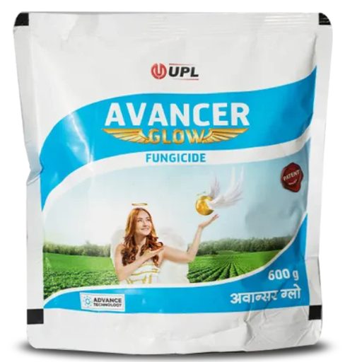 अवांसर ग्लो फफूंदनाशी